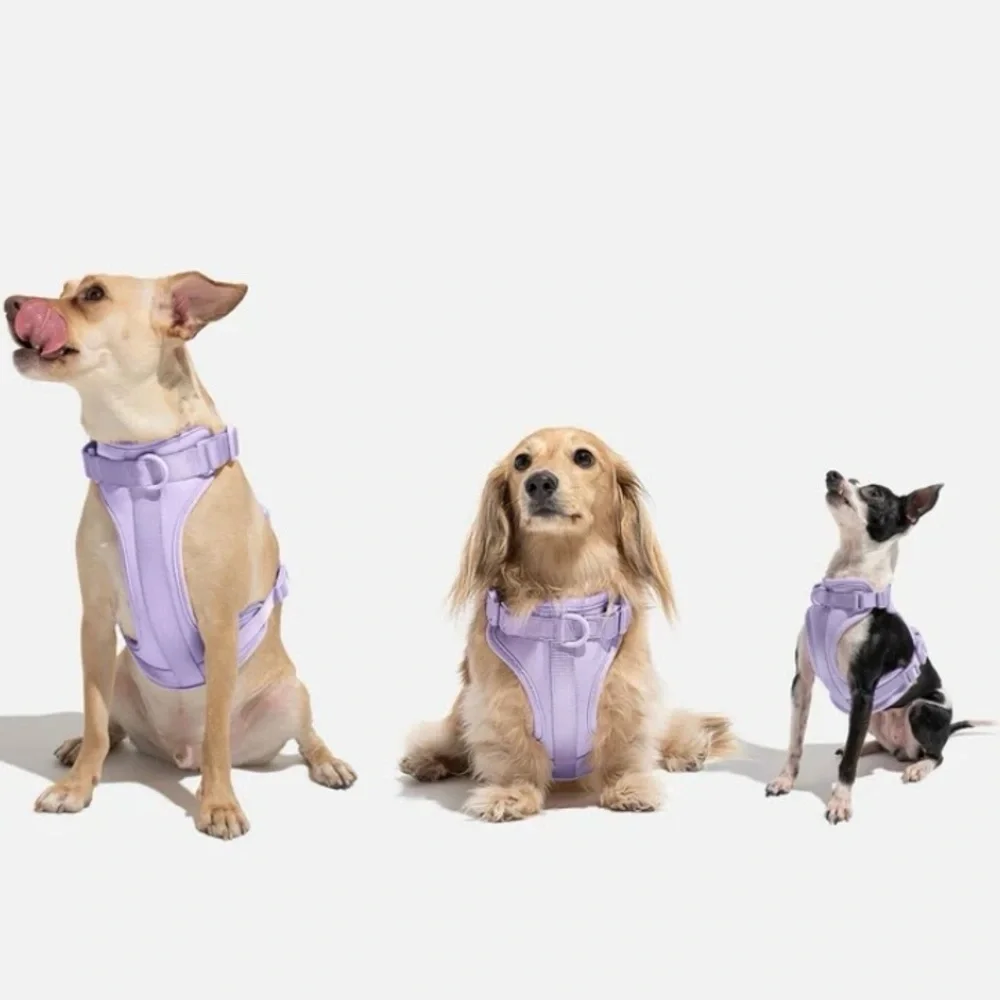 Wild One Dog Harness - Lilac - Size: XS